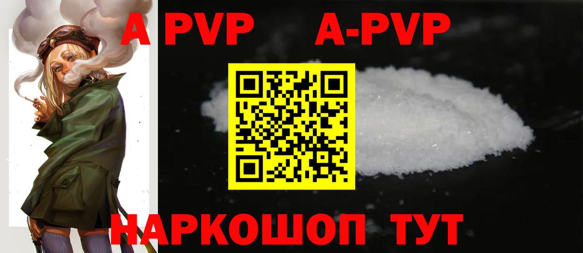 A PVP СК Сунжа