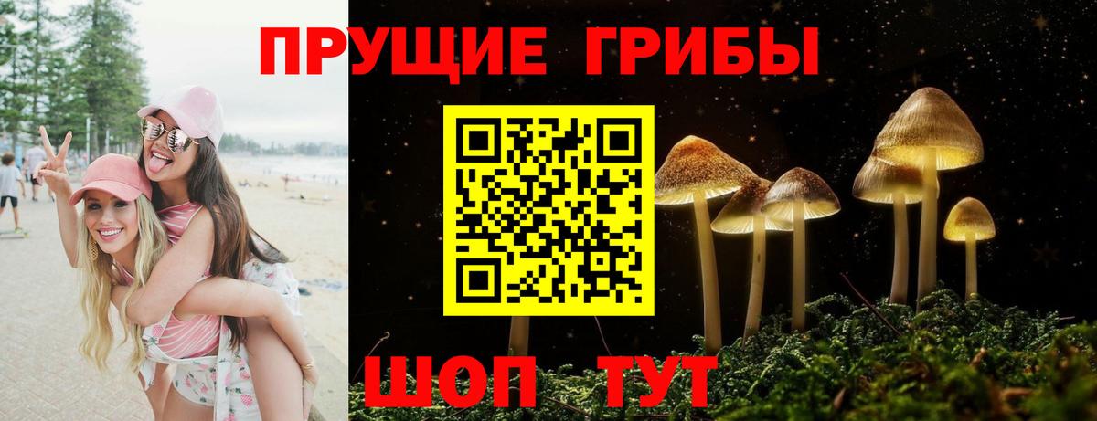 Галлюциногенные грибы MAGIC MUSHROOMS Сунжа